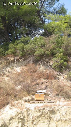 [P08] Siviri, acum și atunci - la marginea pădurii de pini, un stup de albine, 2008; acum acolo e curtea unei vile noi. Stupi n-am mai văzut:( » foto by Dragoș_MD
 - 
<span class="allrVoted glyphicon glyphicon-heart hidden" id="av818909"></span>
<a class="m-l-10 hidden" id="sv818909" onclick="voting_Foto_DelVot(,818909,21081)" role="button">șterge vot <span class="glyphicon glyphicon-remove"></span></a>
<a id="v9818909" class=" c-red"  onclick="voting_Foto_SetVot(818909)" role="button"><span class="glyphicon glyphicon-heart-empty"></span> <b>LIKE</b> = Votează poza</a> <img class="hidden"  id="f818909W9" src="/imagini/loader.gif" border="0" /><span class="AjErrMes hidden" id="e818909ErM"></span>