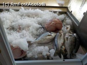 [P06] Sto Kima / Στο Κύμα - și ce am găsit într-una din zile: doradă, pește spadă, biban » foto by Dragoș_MD
 - 
<span class="allrVoted glyphicon glyphicon-heart hidden" id="av793484"></span>
<a class="m-l-10 hidden" id="sv793484" onclick="voting_Foto_DelVot(,793484,21082)" role="button">șterge vot <span class="glyphicon glyphicon-remove"></span></a>
<a id="v9793484" class=" c-red"  onclick="voting_Foto_SetVot(793484)" role="button"><span class="glyphicon glyphicon-heart-empty"></span> <b>LIKE</b> = Votează poza</a> <img class="hidden"  id="f793484W9" src="/imagini/loader.gif" border="0" /><span class="AjErrMes hidden" id="e793484ErM"></span>