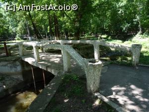 [P12] Podul de beton care facilitează accesul pe insuliță.  » foto by tata123 🔱
 - 
<span class="allrVoted glyphicon glyphicon-heart hidden" id="av1087718"></span>
<a class="m-l-10 hidden" id="sv1087718" onclick="voting_Foto_DelVot(,1087718,21093)" role="button">șterge vot <span class="glyphicon glyphicon-remove"></span></a>
<a id="v91087718" class=" c-red"  onclick="voting_Foto_SetVot(1087718)" role="button"><span class="glyphicon glyphicon-heart-empty"></span> <b>LIKE</b> = Votează poza</a> <img class="hidden"  id="f1087718W9" src="/imagini/loader.gif" border="0" /><span class="AjErrMes hidden" id="e1087718ErM"></span>
