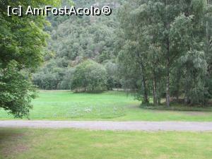 [P14] Grădina din spatele căsuței noastre. Aici aveam vedere din cameră.  » foto by Aurici
 - 
<span class="allrVoted glyphicon glyphicon-heart hidden" id="av796292"></span>
<a class="m-l-10 hidden" id="sv796292" onclick="voting_Foto_DelVot(,796292,21117)" role="button">șterge vot <span class="glyphicon glyphicon-remove"></span></a>
<a id="v9796292" class=" c-red"  onclick="voting_Foto_SetVot(796292)" role="button"><span class="glyphicon glyphicon-heart-empty"></span> <b>LIKE</b> = Votează poza</a> <img class="hidden"  id="f796292W9" src="/imagini/loader.gif" border="0" /><span class="AjErrMes hidden" id="e796292ErM"></span>