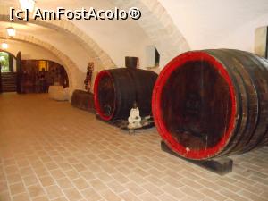 [P18] Conacul Bellu - Expoziția amenajată în beci.  » foto by iulianic
 - 
<span class="allrVoted glyphicon glyphicon-heart hidden" id="av984050"></span>
<a class="m-l-10 hidden" id="sv984050" onclick="voting_Foto_DelVot(,984050,21143)" role="button">șterge vot <span class="glyphicon glyphicon-remove"></span></a>
<a id="v9984050" class=" c-red"  onclick="voting_Foto_SetVot(984050)" role="button"><span class="glyphicon glyphicon-heart-empty"></span> <b>LIKE</b> = Votează poza</a> <img class="hidden"  id="f984050W9" src="/imagini/loader.gif" border="0" /><span class="AjErrMes hidden" id="e984050ErM"></span>