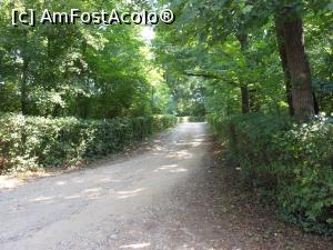 [P22] Conacul Bellu - În parc, drumul spre conac.  » foto by iulianic
 - 
<span class="allrVoted glyphicon glyphicon-heart hidden" id="av984055"></span>
<a class="m-l-10 hidden" id="sv984055" onclick="voting_Foto_DelVot(,984055,21143)" role="button">șterge vot <span class="glyphicon glyphicon-remove"></span></a>
<a id="v9984055" class=" c-red"  onclick="voting_Foto_SetVot(984055)" role="button"><span class="glyphicon glyphicon-heart-empty"></span> <b>LIKE</b> = Votează poza</a> <img class="hidden"  id="f984055W9" src="/imagini/loader.gif" border="0" /><span class="AjErrMes hidden" id="e984055ErM"></span>