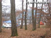 [P24] Ma intorc la Hotel Marion,un loc al linistii si al destinderii. Hotelul este invaluit din toate partile de o frumoasa padure de foioase » foto by dorgo
 - 
<span class="allrVoted glyphicon glyphicon-heart hidden" id="av282819"></span>
<a class="m-l-10 hidden" id="sv282819" onclick="voting_Foto_DelVot(,282819,21187)" role="button">șterge vot <span class="glyphicon glyphicon-remove"></span></a>
<a id="v9282819" class=" c-red"  onclick="voting_Foto_SetVot(282819)" role="button"><span class="glyphicon glyphicon-heart-empty"></span> <b>LIKE</b> = Votează poza</a> <img class="hidden"  id="f282819W9" src="/imagini/loader.gif" border="0" /><span class="AjErrMes hidden" id="e282819ErM"></span>