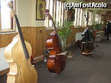 [P02] Expozitia de instrumente muzicale (contrabasuri) » foto by dorgo
 - 
<span class="allrVoted glyphicon glyphicon-heart hidden" id="av282877"></span>
<a class="m-l-10 hidden" id="sv282877" onclick="voting_Foto_DelVot(,282877,21207)" role="button">șterge vot <span class="glyphicon glyphicon-remove"></span></a>
<a id="v9282877" class=" c-red"  onclick="voting_Foto_SetVot(282877)" role="button"><span class="glyphicon glyphicon-heart-empty"></span> <b>LIKE</b> = Votează poza</a> <img class="hidden"  id="f282877W9" src="/imagini/loader.gif" border="0" /><span class="AjErrMes hidden" id="e282877ErM"></span>