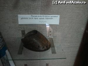 [P06] Din copita iepei lui favorite Calistrat Hogaș a realizat o scrumieră originală.  » foto by Floryn81
 - 
<span class="allrVoted glyphicon glyphicon-heart hidden" id="av544198"></span>
<a class="m-l-10 hidden" id="sv544198" onclick="voting_Foto_DelVot(,544198,21211)" role="button">șterge vot <span class="glyphicon glyphicon-remove"></span></a>
<a id="v9544198" class=" c-red"  onclick="voting_Foto_SetVot(544198)" role="button"><span class="glyphicon glyphicon-heart-empty"></span> <b>LIKE</b> = Votează poza</a> <img class="hidden"  id="f544198W9" src="/imagini/loader.gif" border="0" /><span class="AjErrMes hidden" id="e544198ErM"></span>