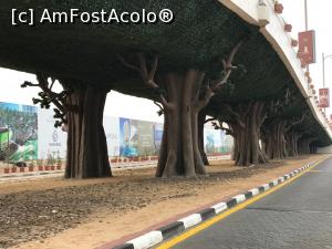 [P17] baza monorail Palm Jumeirah » foto by A&N
 - 
<span class="allrVoted glyphicon glyphicon-heart hidden" id="av949424"></span>
<a class="m-l-10 hidden" id="sv949424" onclick="voting_Foto_DelVot(,949424,21213)" role="button">șterge vot <span class="glyphicon glyphicon-remove"></span></a>
<a id="v9949424" class=" c-red"  onclick="voting_Foto_SetVot(949424)" role="button"><span class="glyphicon glyphicon-heart-empty"></span> <b>LIKE</b> = Votează poza</a> <img class="hidden"  id="f949424W9" src="/imagini/loader.gif" border="0" /><span class="AjErrMes hidden" id="e949424ErM"></span>