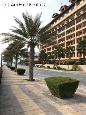 [P18] Palm Jumeirah » foto by A&N
 - 
<span class="allrVoted glyphicon glyphicon-heart hidden" id="av949425"></span>
<a class="m-l-10 hidden" id="sv949425" onclick="voting_Foto_DelVot(,949425,21213)" role="button">șterge vot <span class="glyphicon glyphicon-remove"></span></a>
<a id="v9949425" class=" c-red"  onclick="voting_Foto_SetVot(949425)" role="button"><span class="glyphicon glyphicon-heart-empty"></span> <b>LIKE</b> = Votează poza</a> <img class="hidden"  id="f949425W9" src="/imagini/loader.gif" border="0" /><span class="AjErrMes hidden" id="e949425ErM"></span>