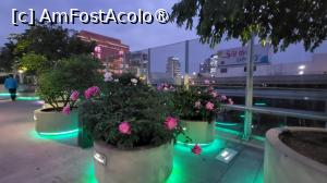 [P07]  -- <small>// FĂRĂ DESCRIERE</small> » foto by geani anto
 - 
<span class="allrVoted glyphicon glyphicon-heart hidden" id="av1512351"></span>
<a class="m-l-10 hidden" id="sv1512351" onclick="voting_Foto_DelVot(,1512351,21214)" role="button">șterge vot <span class="glyphicon glyphicon-remove"></span></a>
<a id="v91512351" class=" c-red"  onclick="voting_Foto_SetVot(1512351)" role="button"><span class="glyphicon glyphicon-heart-empty"></span> <b>LIKE</b> = Votează poza</a> <img class="hidden"  id="f1512351W9" src="/imagini/loader.gif" border="0" /><span class="AjErrMes hidden" id="e1512351ErM"></span>