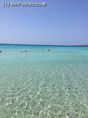 [P03] Plaja Simos, Elafonisos » foto by valeon
 - 
<span class="allrVoted glyphicon glyphicon-heart hidden" id="av805972"></span>
<a class="m-l-10 hidden" id="sv805972" onclick="voting_Foto_DelVot(,805972,21219)" role="button">șterge vot <span class="glyphicon glyphicon-remove"></span></a>
<a id="v9805972" class=" c-red"  onclick="voting_Foto_SetVot(805972)" role="button"><span class="glyphicon glyphicon-heart-empty"></span> <b>LIKE</b> = Votează poza</a> <img class="hidden"  id="f805972W9" src="/imagini/loader.gif" border="0" /><span class="AjErrMes hidden" id="e805972ErM"></span>
