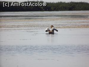 [P22] bird watching » foto by robert
 - 
<span class="allrVoted glyphicon glyphicon-heart hidden" id="av1180192"></span>
<a class="m-l-10 hidden" id="sv1180192" onclick="voting_Foto_DelVot(,1180192,21220)" role="button">șterge vot <span class="glyphicon glyphicon-remove"></span></a>
<a id="v91180192" class=" c-red"  onclick="voting_Foto_SetVot(1180192)" role="button"><span class="glyphicon glyphicon-heart-empty"></span> <b>LIKE</b> = Votează poza</a> <img class="hidden"  id="f1180192W9" src="/imagini/loader.gif" border="0" /><span class="AjErrMes hidden" id="e1180192ErM"></span>