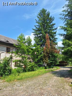 [P22] Casa Parohială » foto by laurand
 - 
<span class="allrVoted glyphicon glyphicon-heart hidden" id="av1486481"></span>
<a class="m-l-10 hidden" id="sv1486481" onclick="voting_Foto_DelVot(,1486481,21248)" role="button">șterge vot <span class="glyphicon glyphicon-remove"></span></a>
<a id="v91486481" class=" c-red"  onclick="voting_Foto_SetVot(1486481)" role="button"><span class="glyphicon glyphicon-heart-empty"></span> <b>LIKE</b> = Votează poza</a> <img class="hidden"  id="f1486481W9" src="/imagini/loader.gif" border="0" /><span class="AjErrMes hidden" id="e1486481ErM"></span>