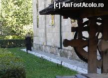 [P11] Mănăstirea Negru Vodă din Câmpulung Muscel: ritualul baterii toacei » foto by mariana.olaru
 - 
<span class="allrVoted glyphicon glyphicon-heart hidden" id="av284297"></span>
<a class="m-l-10 hidden" id="sv284297" onclick="voting_Foto_DelVot(,284297,21248)" role="button">șterge vot <span class="glyphicon glyphicon-remove"></span></a>
<a id="v9284297" class=" c-red"  onclick="voting_Foto_SetVot(284297)" role="button"><span class="glyphicon glyphicon-heart-empty"></span> <b>LIKE</b> = Votează poza</a> <img class="hidden"  id="f284297W9" src="/imagini/loader.gif" border="0" /><span class="AjErrMes hidden" id="e284297ErM"></span>