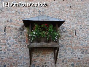 [P20] Balconul de pe zidul exterior - Mănăstirea Aninoasa, Argeș.  » foto by tata123 🔱
 - 
<span class="allrVoted glyphicon glyphicon-heart hidden" id="av1026213"></span>
<a class="m-l-10 hidden" id="sv1026213" onclick="voting_Foto_DelVot(,1026213,21248)" role="button">șterge vot <span class="glyphicon glyphicon-remove"></span></a>
<a id="v91026213" class=" c-red"  onclick="voting_Foto_SetVot(1026213)" role="button"><span class="glyphicon glyphicon-heart-empty"></span> <b>LIKE</b> = Votează poza</a> <img class="hidden"  id="f1026213W9" src="/imagini/loader.gif" border="0" /><span class="AjErrMes hidden" id="e1026213ErM"></span>