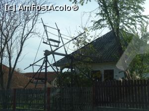 [P22] Scrânciobul observat în localitatea argeșeană Aninoasa.  » foto by tata123 🔱
 - 
<span class="allrVoted glyphicon glyphicon-heart hidden" id="av1026215"></span>
<a class="m-l-10 hidden" id="sv1026215" onclick="voting_Foto_DelVot(,1026215,21248)" role="button">șterge vot <span class="glyphicon glyphicon-remove"></span></a>
<a id="v91026215" class=" c-red"  onclick="voting_Foto_SetVot(1026215)" role="button"><span class="glyphicon glyphicon-heart-empty"></span> <b>LIKE</b> = Votează poza</a> <img class="hidden"  id="f1026215W9" src="/imagini/loader.gif" border="0" /><span class="AjErrMes hidden" id="e1026215ErM"></span>