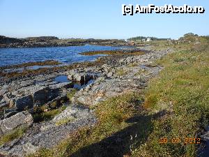 [P16] Drumul Oceanului Atlantic - Frumuseţea sălbatică a pustietăţilor norvegiene.  » foto by iulianic
 - 
<span class="allrVoted glyphicon glyphicon-heart hidden" id="av472862"></span>
<a class="m-l-10 hidden" id="sv472862" onclick="voting_Foto_DelVot(,472862,21252)" role="button">șterge vot <span class="glyphicon glyphicon-remove"></span></a>
<a id="v9472862" class=" c-red"  onclick="voting_Foto_SetVot(472862)" role="button"><span class="glyphicon glyphicon-heart-empty"></span> <b>LIKE</b> = Votează poza</a> <img class="hidden"  id="f472862W9" src="/imagini/loader.gif" border="0" /><span class="AjErrMes hidden" id="e472862ErM"></span>