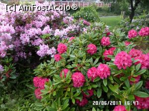 [P04] Într-un parc din Molde florile-mi șoptesc că lor le place ploaia.  » foto by Alina53
 - 
<span class="allrVoted glyphicon glyphicon-heart hidden" id="av890180"></span>
<a class="m-l-10 hidden" id="sv890180" onclick="voting_Foto_DelVot(,890180,21252)" role="button">șterge vot <span class="glyphicon glyphicon-remove"></span></a>
<a id="v9890180" class=" c-red"  onclick="voting_Foto_SetVot(890180)" role="button"><span class="glyphicon glyphicon-heart-empty"></span> <b>LIKE</b> = Votează poza</a> <img class="hidden"  id="f890180W9" src="/imagini/loader.gif" border="0" /><span class="AjErrMes hidden" id="e890180ErM"></span>