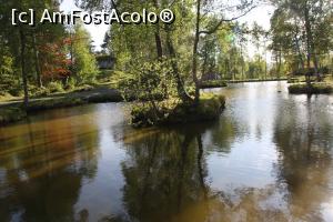 [P36] Lacul in care cateva rate isi aveau 'domiciliul' » foto by DOINITA
 - 
<span class="allrVoted glyphicon glyphicon-heart hidden" id="av874123"></span>
<a class="m-l-10 hidden" id="sv874123" onclick="voting_Foto_DelVot(,874123,21252)" role="button">șterge vot <span class="glyphicon glyphicon-remove"></span></a>
<a id="v9874123" class=" c-red"  onclick="voting_Foto_SetVot(874123)" role="button"><span class="glyphicon glyphicon-heart-empty"></span> <b>LIKE</b> = Votează poza</a> <img class="hidden"  id="f874123W9" src="/imagini/loader.gif" border="0" /><span class="AjErrMes hidden" id="e874123ErM"></span>