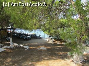 [P33] Taverna Aponisos, aici aveam să mâncăm de prânz » foto by crismis
 - 
<span class="allrVoted glyphicon glyphicon-heart hidden" id="av809755"></span>
<a class="m-l-10 hidden" id="sv809755" onclick="voting_Foto_DelVot(,809755,21259)" role="button">șterge vot <span class="glyphicon glyphicon-remove"></span></a>
<a id="v9809755" class=" c-red"  onclick="voting_Foto_SetVot(809755)" role="button"><span class="glyphicon glyphicon-heart-empty"></span> <b>LIKE</b> = Votează poza</a> <img class="hidden"  id="f809755W9" src="/imagini/loader.gif" border="0" /><span class="AjErrMes hidden" id="e809755ErM"></span>
