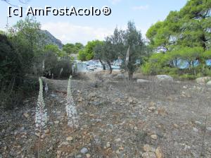 [P49] Flori pe Agistri; plimbare către lac » foto by crismis
 - 
<span class="allrVoted glyphicon glyphicon-heart hidden" id="av809825"></span>
<a class="m-l-10 hidden" id="sv809825" onclick="voting_Foto_DelVot(,809825,21259)" role="button">șterge vot <span class="glyphicon glyphicon-remove"></span></a>
<a id="v9809825" class=" c-red"  onclick="voting_Foto_SetVot(809825)" role="button"><span class="glyphicon glyphicon-heart-empty"></span> <b>LIKE</b> = Votează poza</a> <img class="hidden"  id="f809825W9" src="/imagini/loader.gif" border="0" /><span class="AjErrMes hidden" id="e809825ErM"></span>