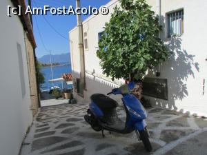 [P19] La plimbare prin Perdika » foto by crismis
 - 
<span class="allrVoted glyphicon glyphicon-heart hidden" id="av810388"></span>
<a class="m-l-10 hidden" id="sv810388" onclick="voting_Foto_DelVot(,810388,21259)" role="button">șterge vot <span class="glyphicon glyphicon-remove"></span></a>
<a id="v9810388" class=" c-red"  onclick="voting_Foto_SetVot(810388)" role="button"><span class="glyphicon glyphicon-heart-empty"></span> <b>LIKE</b> = Votează poza</a> <img class="hidden"  id="f810388W9" src="/imagini/loader.gif" border="0" /><span class="AjErrMes hidden" id="e810388ErM"></span>