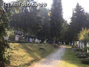 [P35] Kiefersfelden - Prin cimitir » foto by mishu
 - 
<span class="allrVoted glyphicon glyphicon-heart hidden" id="av1022516"></span>
<a class="m-l-10 hidden" id="sv1022516" onclick="voting_Foto_DelVot(,1022516,21261)" role="button">șterge vot <span class="glyphicon glyphicon-remove"></span></a>
<a id="v91022516" class=" c-red"  onclick="voting_Foto_SetVot(1022516)" role="button"><span class="glyphicon glyphicon-heart-empty"></span> <b>LIKE</b> = Votează poza</a> <img class="hidden"  id="f1022516W9" src="/imagini/loader.gif" border="0" /><span class="AjErrMes hidden" id="e1022516ErM"></span>