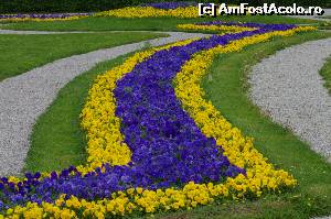 [P04] flori in gradinile castelului Herrenchiemsee » foto by osna
 - 
<span class="allrVoted glyphicon glyphicon-heart hidden" id="av562474"></span>
<a class="m-l-10 hidden" id="sv562474" onclick="voting_Foto_DelVot(,562474,21261)" role="button">șterge vot <span class="glyphicon glyphicon-remove"></span></a>
<a id="v9562474" class=" c-red"  onclick="voting_Foto_SetVot(562474)" role="button"><span class="glyphicon glyphicon-heart-empty"></span> <b>LIKE</b> = Votează poza</a> <img class="hidden"  id="f562474W9" src="/imagini/loader.gif" border="0" /><span class="AjErrMes hidden" id="e562474ErM"></span>