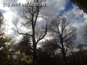 [P31] Viena - Park Royal Palace - asa ca am iesit afara sa fac cateva poze » foto by mishu
 - 
<span class="allrVoted glyphicon glyphicon-heart hidden" id="av812797"></span>
<a class="m-l-10 hidden" id="sv812797" onclick="voting_Foto_DelVot(,812797,21282)" role="button">șterge vot <span class="glyphicon glyphicon-remove"></span></a>
<a id="v9812797" class=" c-red"  onclick="voting_Foto_SetVot(812797)" role="button"><span class="glyphicon glyphicon-heart-empty"></span> <b>LIKE</b> = Votează poza</a> <img class="hidden"  id="f812797W9" src="/imagini/loader.gif" border="0" /><span class="AjErrMes hidden" id="e812797ErM"></span>