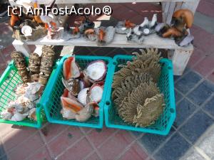 [P14] o stea de mare stiti cu totii ce este, dar acesta este un SOARE DE MARE!  » foto by buterfly*
 - 
<span class="allrVoted glyphicon glyphicon-heart hidden" id="av813592"></span>
<a class="m-l-10 hidden" id="sv813592" onclick="voting_Foto_DelVot(,813592,21292)" role="button">șterge vot <span class="glyphicon glyphicon-remove"></span></a>
<a id="v9813592" class=" c-red"  onclick="voting_Foto_SetVot(813592)" role="button"><span class="glyphicon glyphicon-heart-empty"></span> <b>LIKE</b> = Votează poza</a> <img class="hidden"  id="f813592W9" src="/imagini/loader.gif" border="0" /><span class="AjErrMes hidden" id="e813592ErM"></span>