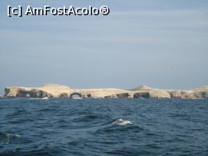[P05] minunatele Islas Ballestas » foto by buterfly*
 - 
<span class="allrVoted glyphicon glyphicon-heart hidden" id="av813583"></span>
<a class="m-l-10 hidden" id="sv813583" onclick="voting_Foto_DelVot(,813583,21292)" role="button">șterge vot <span class="glyphicon glyphicon-remove"></span></a>
<a id="v9813583" class=" c-red"  onclick="voting_Foto_SetVot(813583)" role="button"><span class="glyphicon glyphicon-heart-empty"></span> <b>LIKE</b> = Votează poza</a> <img class="hidden"  id="f813583W9" src="/imagini/loader.gif" border="0" /><span class="AjErrMes hidden" id="e813583ErM"></span>