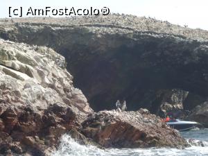 [P08] doi pinguini se odihnesc pe o piatra » foto by buterfly*
 - 
<span class="allrVoted glyphicon glyphicon-heart hidden" id="av813586"></span>
<a class="m-l-10 hidden" id="sv813586" onclick="voting_Foto_DelVot(,813586,21292)" role="button">șterge vot <span class="glyphicon glyphicon-remove"></span></a>
<a id="v9813586" class=" c-red"  onclick="voting_Foto_SetVot(813586)" role="button"><span class="glyphicon glyphicon-heart-empty"></span> <b>LIKE</b> = Votează poza</a> <img class="hidden"  id="f813586W9" src="/imagini/loader.gif" border="0" /><span class="AjErrMes hidden" id="e813586ErM"></span>