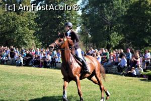 [P15] Karpatia Horse Show 2016 - adrenalină și eleganță pe domeniul Cantacuzino.  » foto by andreieu
 - 
<span class="allrVoted glyphicon glyphicon-heart hidden" id="av814690"></span>
<a class="m-l-10 hidden" id="sv814690" onclick="voting_Foto_DelVot(,814690,21298)" role="button">șterge vot <span class="glyphicon glyphicon-remove"></span></a>
<a id="v9814690" class=" c-red"  onclick="voting_Foto_SetVot(814690)" role="button"><span class="glyphicon glyphicon-heart-empty"></span> <b>LIKE</b> = Votează poza</a> <img class="hidden"  id="f814690W9" src="/imagini/loader.gif" border="0" /><span class="AjErrMes hidden" id="e814690ErM"></span>