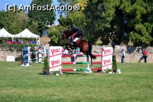 [P19] Karpatia Horse Show 2016 - adrenalină și eleganță pe domeniul Cantacuzino.  » foto by andreieu
 - 
<span class="allrVoted glyphicon glyphicon-heart hidden" id="av814694"></span>
<a class="m-l-10 hidden" id="sv814694" onclick="voting_Foto_DelVot(,814694,21298)" role="button">șterge vot <span class="glyphicon glyphicon-remove"></span></a>
<a id="v9814694" class=" c-red"  onclick="voting_Foto_SetVot(814694)" role="button"><span class="glyphicon glyphicon-heart-empty"></span> <b>LIKE</b> = Votează poza</a> <img class="hidden"  id="f814694W9" src="/imagini/loader.gif" border="0" /><span class="AjErrMes hidden" id="e814694ErM"></span>