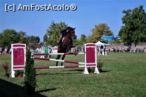 [P20] Karpatia Horse Show 2016 - adrenalină și eleganță pe domeniul Cantacuzino.  » foto by andreieu
 - 
<span class="allrVoted glyphicon glyphicon-heart hidden" id="av814695"></span>
<a class="m-l-10 hidden" id="sv814695" onclick="voting_Foto_DelVot(,814695,21298)" role="button">șterge vot <span class="glyphicon glyphicon-remove"></span></a>
<a id="v9814695" class=" c-red"  onclick="voting_Foto_SetVot(814695)" role="button"><span class="glyphicon glyphicon-heart-empty"></span> <b>LIKE</b> = Votează poza</a> <img class="hidden"  id="f814695W9" src="/imagini/loader.gif" border="0" /><span class="AjErrMes hidden" id="e814695ErM"></span>