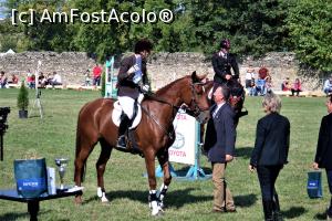 [P21] Karpatia Horse Show 2016 - adrenalină și eleganță pe domeniul Cantacuzino.  » foto by andreieu
 - 
<span class="allrVoted glyphicon glyphicon-heart hidden" id="av814696"></span>
<a class="m-l-10 hidden" id="sv814696" onclick="voting_Foto_DelVot(,814696,21298)" role="button">șterge vot <span class="glyphicon glyphicon-remove"></span></a>
<a id="v9814696" class=" c-red"  onclick="voting_Foto_SetVot(814696)" role="button"><span class="glyphicon glyphicon-heart-empty"></span> <b>LIKE</b> = Votează poza</a> <img class="hidden"  id="f814696W9" src="/imagini/loader.gif" border="0" /><span class="AjErrMes hidden" id="e814696ErM"></span>