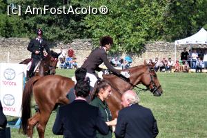 [P22] Karpatia Horse Show 2016 - adrenalină și eleganță pe domeniul Cantacuzino.  » foto by andreieu
 - 
<span class="allrVoted glyphicon glyphicon-heart hidden" id="av814697"></span>
<a class="m-l-10 hidden" id="sv814697" onclick="voting_Foto_DelVot(,814697,21298)" role="button">șterge vot <span class="glyphicon glyphicon-remove"></span></a>
<a id="v9814697" class=" c-red"  onclick="voting_Foto_SetVot(814697)" role="button"><span class="glyphicon glyphicon-heart-empty"></span> <b>LIKE</b> = Votează poza</a> <img class="hidden"  id="f814697W9" src="/imagini/loader.gif" border="0" /><span class="AjErrMes hidden" id="e814697ErM"></span>