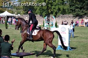 [P24] Karpatia Horse Show 2016 - adrenalină și eleganță pe domeniul Cantacuzino.  » foto by andreieu
 - 
<span class="allrVoted glyphicon glyphicon-heart hidden" id="av814699"></span>
<a class="m-l-10 hidden" id="sv814699" onclick="voting_Foto_DelVot(,814699,21298)" role="button">șterge vot <span class="glyphicon glyphicon-remove"></span></a>
<a id="v9814699" class=" c-red"  onclick="voting_Foto_SetVot(814699)" role="button"><span class="glyphicon glyphicon-heart-empty"></span> <b>LIKE</b> = Votează poza</a> <img class="hidden"  id="f814699W9" src="/imagini/loader.gif" border="0" /><span class="AjErrMes hidden" id="e814699ErM"></span>