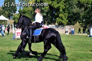 [P27] Karpatia Horse Show 2016 - adrenalină și eleganță pe domeniul Cantacuzino.  » foto by andreieu
 - 
<span class="allrVoted glyphicon glyphicon-heart hidden" id="av814702"></span>
<a class="m-l-10 hidden" id="sv814702" onclick="voting_Foto_DelVot(,814702,21298)" role="button">șterge vot <span class="glyphicon glyphicon-remove"></span></a>
<a id="v9814702" class=" c-red"  onclick="voting_Foto_SetVot(814702)" role="button"><span class="glyphicon glyphicon-heart-empty"></span> <b>LIKE</b> = Votează poza</a> <img class="hidden"  id="f814702W9" src="/imagini/loader.gif" border="0" /><span class="AjErrMes hidden" id="e814702ErM"></span>