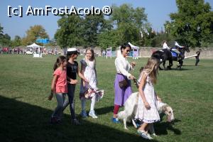 [P31] Karpatia Horse Show 2016 - adrenalină și eleganță pe domeniul Cantacuzino.  » foto by andreieu
 - 
<span class="allrVoted glyphicon glyphicon-heart hidden" id="av814706"></span>
<a class="m-l-10 hidden" id="sv814706" onclick="voting_Foto_DelVot(,814706,21298)" role="button">șterge vot <span class="glyphicon glyphicon-remove"></span></a>
<a id="v9814706" class=" c-red"  onclick="voting_Foto_SetVot(814706)" role="button"><span class="glyphicon glyphicon-heart-empty"></span> <b>LIKE</b> = Votează poza</a> <img class="hidden"  id="f814706W9" src="/imagini/loader.gif" border="0" /><span class="AjErrMes hidden" id="e814706ErM"></span>