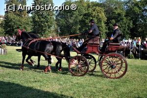 [P39] Karpatia Horse Show 2016 - adrenalină și eleganță pe domeniul Cantacuzino.  » foto by andreieu
 - 
<span class="allrVoted glyphicon glyphicon-heart hidden" id="av814714"></span>
<a class="m-l-10 hidden" id="sv814714" onclick="voting_Foto_DelVot(,814714,21298)" role="button">șterge vot <span class="glyphicon glyphicon-remove"></span></a>
<a id="v9814714" class=" c-red"  onclick="voting_Foto_SetVot(814714)" role="button"><span class="glyphicon glyphicon-heart-empty"></span> <b>LIKE</b> = Votează poza</a> <img class="hidden"  id="f814714W9" src="/imagini/loader.gif" border="0" /><span class="AjErrMes hidden" id="e814714ErM"></span>