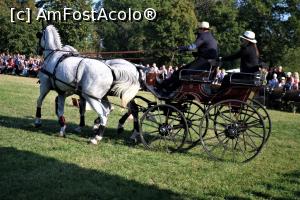 [P40] Karpatia Horse Show 2016 - adrenalină și eleganță pe domeniul Cantacuzino.  » foto by andreieu
 - 
<span class="allrVoted glyphicon glyphicon-heart hidden" id="av814715"></span>
<a class="m-l-10 hidden" id="sv814715" onclick="voting_Foto_DelVot(,814715,21298)" role="button">șterge vot <span class="glyphicon glyphicon-remove"></span></a>
<a id="v9814715" class=" c-red"  onclick="voting_Foto_SetVot(814715)" role="button"><span class="glyphicon glyphicon-heart-empty"></span> <b>LIKE</b> = Votează poza</a> <img class="hidden"  id="f814715W9" src="/imagini/loader.gif" border="0" /><span class="AjErrMes hidden" id="e814715ErM"></span>