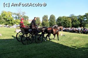 [P41] Karpatia Horse Show 2016 - adrenalină și eleganță pe domeniul Cantacuzino.  » foto by andreieu
 - 
<span class="allrVoted glyphicon glyphicon-heart hidden" id="av814716"></span>
<a class="m-l-10 hidden" id="sv814716" onclick="voting_Foto_DelVot(,814716,21298)" role="button">șterge vot <span class="glyphicon glyphicon-remove"></span></a>
<a id="v9814716" class=" c-red"  onclick="voting_Foto_SetVot(814716)" role="button"><span class="glyphicon glyphicon-heart-empty"></span> <b>LIKE</b> = Votează poza</a> <img class="hidden"  id="f814716W9" src="/imagini/loader.gif" border="0" /><span class="AjErrMes hidden" id="e814716ErM"></span>