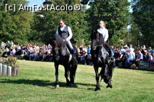 [P42] Karpatia Horse Show 2016 - adrenalină și eleganță pe domeniul Cantacuzino.  » foto by andreieu
 - 
<span class="allrVoted glyphicon glyphicon-heart hidden" id="av814717"></span>
<a class="m-l-10 hidden" id="sv814717" onclick="voting_Foto_DelVot(,814717,21298)" role="button">șterge vot <span class="glyphicon glyphicon-remove"></span></a>
<a id="v9814717" class=" c-red"  onclick="voting_Foto_SetVot(814717)" role="button"><span class="glyphicon glyphicon-heart-empty"></span> <b>LIKE</b> = Votează poza</a> <img class="hidden"  id="f814717W9" src="/imagini/loader.gif" border="0" /><span class="AjErrMes hidden" id="e814717ErM"></span>