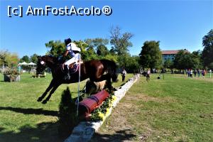 [P08] Karpatia Horse Show 2016 - adrenalină și eleganță pe domeniul Cantacuzino.  » foto by andreieu
 - 
<span class="allrVoted glyphicon glyphicon-heart hidden" id="av814683"></span>
<a class="m-l-10 hidden" id="sv814683" onclick="voting_Foto_DelVot(,814683,21298)" role="button">șterge vot <span class="glyphicon glyphicon-remove"></span></a>
<a id="v9814683" class=" c-red"  onclick="voting_Foto_SetVot(814683)" role="button"><span class="glyphicon glyphicon-heart-empty"></span> <b>LIKE</b> = Votează poza</a> <img class="hidden"  id="f814683W9" src="/imagini/loader.gif" border="0" /><span class="AjErrMes hidden" id="e814683ErM"></span>
