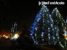 [P09] Brazi decorati cu luminite in parcul Nichita Stanescu din Ploiesti. » foto by cristi46
 - 
<span class="allrVoted glyphicon glyphicon-heart hidden" id="av281600"></span>
<a class="m-l-10 hidden" id="sv281600" onclick="voting_Foto_DelVot(,281600,21298)" role="button">șterge vot <span class="glyphicon glyphicon-remove"></span></a>
<a id="v9281600" class=" c-red"  onclick="voting_Foto_SetVot(281600)" role="button"><span class="glyphicon glyphicon-heart-empty"></span> <b>LIKE</b> = Votează poza</a> <img class="hidden"  id="f281600W9" src="/imagini/loader.gif" border="0" /><span class="AjErrMes hidden" id="e281600ErM"></span>