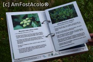 [P18] Carti explicative la tot pasul, pe urcusul cu balustrada » foto by hopyk
 - 
<span class="allrVoted glyphicon glyphicon-heart hidden" id="av968749"></span>
<a class="m-l-10 hidden" id="sv968749" onclick="voting_Foto_DelVot(,968749,21300)" role="button">șterge vot <span class="glyphicon glyphicon-remove"></span></a>
<a id="v9968749" class=" c-red"  onclick="voting_Foto_SetVot(968749)" role="button"><span class="glyphicon glyphicon-heart-empty"></span> <b>LIKE</b> = Votează poza</a> <img class="hidden"  id="f968749W9" src="/imagini/loader.gif" border="0" /><span class="AjErrMes hidden" id="e968749ErM"></span>