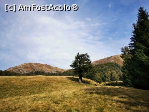 [P20] Poiana Mlejnita si Varful Gutaiul Doamnei pe fundal » foto by cata2106
 - 
<span class="allrVoted glyphicon glyphicon-heart hidden" id="av1198680"></span>
<a class="m-l-10 hidden" id="sv1198680" onclick="voting_Foto_DelVot(,1198680,21300)" role="button">șterge vot <span class="glyphicon glyphicon-remove"></span></a>
<a id="v91198680" class=" c-red"  onclick="voting_Foto_SetVot(1198680)" role="button"><span class="glyphicon glyphicon-heart-empty"></span> <b>LIKE</b> = Votează poza</a> <img class="hidden"  id="f1198680W9" src="/imagini/loader.gif" border="0" /><span class="AjErrMes hidden" id="e1198680ErM"></span>