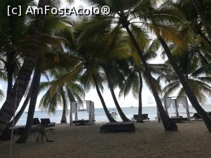 [P02] Insula Saona Republica Dominicana » foto by beachingtravel
 - 
<span class="allrVoted glyphicon glyphicon-heart hidden" id="av1140541"></span>
<a class="m-l-10 hidden" id="sv1140541" onclick="voting_Foto_DelVot(,1140541,21310)" role="button">șterge vot <span class="glyphicon glyphicon-remove"></span></a>
<a id="v91140541" class=" c-red"  onclick="voting_Foto_SetVot(1140541)" role="button"><span class="glyphicon glyphicon-heart-empty"></span> <b>LIKE</b> = Votează poza</a> <img class="hidden"  id="f1140541W9" src="/imagini/loader.gif" border="0" /><span class="AjErrMes hidden" id="e1140541ErM"></span>