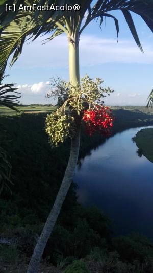 [P01] Râul Chavon!  » foto by balasa violeta
 - 
<span class="allrVoted glyphicon glyphicon-heart hidden" id="av1036963"></span>
<a class="m-l-10 hidden" id="sv1036963" onclick="voting_Foto_DelVot(,1036963,21310)" role="button">șterge vot <span class="glyphicon glyphicon-remove"></span></a>
<a id="v91036963" class=" c-red"  onclick="voting_Foto_SetVot(1036963)" role="button"><span class="glyphicon glyphicon-heart-empty"></span> <b>LIKE</b> = Votează poza</a> <img class="hidden"  id="f1036963W9" src="/imagini/loader.gif" border="0" /><span class="AjErrMes hidden" id="e1036963ErM"></span>