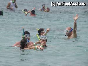 [P12] Snorkling - aici era gasca celor care nu stiau sa inoate bine » foto by georgika_85
 - 
<span class="allrVoted glyphicon glyphicon-heart hidden" id="av483828"></span>
<a class="m-l-10 hidden" id="sv483828" onclick="voting_Foto_DelVot(,483828,21310)" role="button">șterge vot <span class="glyphicon glyphicon-remove"></span></a>
<a id="v9483828" class=" c-red"  onclick="voting_Foto_SetVot(483828)" role="button"><span class="glyphicon glyphicon-heart-empty"></span> <b>LIKE</b> = Votează poza</a> <img class="hidden"  id="f483828W9" src="/imagini/loader.gif" border="0" /><span class="AjErrMes hidden" id="e483828ErM"></span>