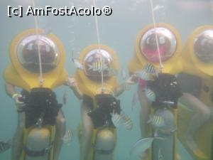 [P07] Faimoasele submarine-motocicleta. Tubul de oxigen il ai in fata...  » foto by Alfacorleone
 - 
<span class="allrVoted glyphicon glyphicon-heart hidden" id="av1026890"></span>
<a class="m-l-10 hidden" id="sv1026890" onclick="voting_Foto_DelVot(,1026890,21310)" role="button">șterge vot <span class="glyphicon glyphicon-remove"></span></a>
<a id="v91026890" class=" c-red"  onclick="voting_Foto_SetVot(1026890)" role="button"><span class="glyphicon glyphicon-heart-empty"></span> <b>LIKE</b> = Votează poza</a> <img class="hidden"  id="f1026890W9" src="/imagini/loader.gif" border="0" /><span class="AjErrMes hidden" id="e1026890ErM"></span>